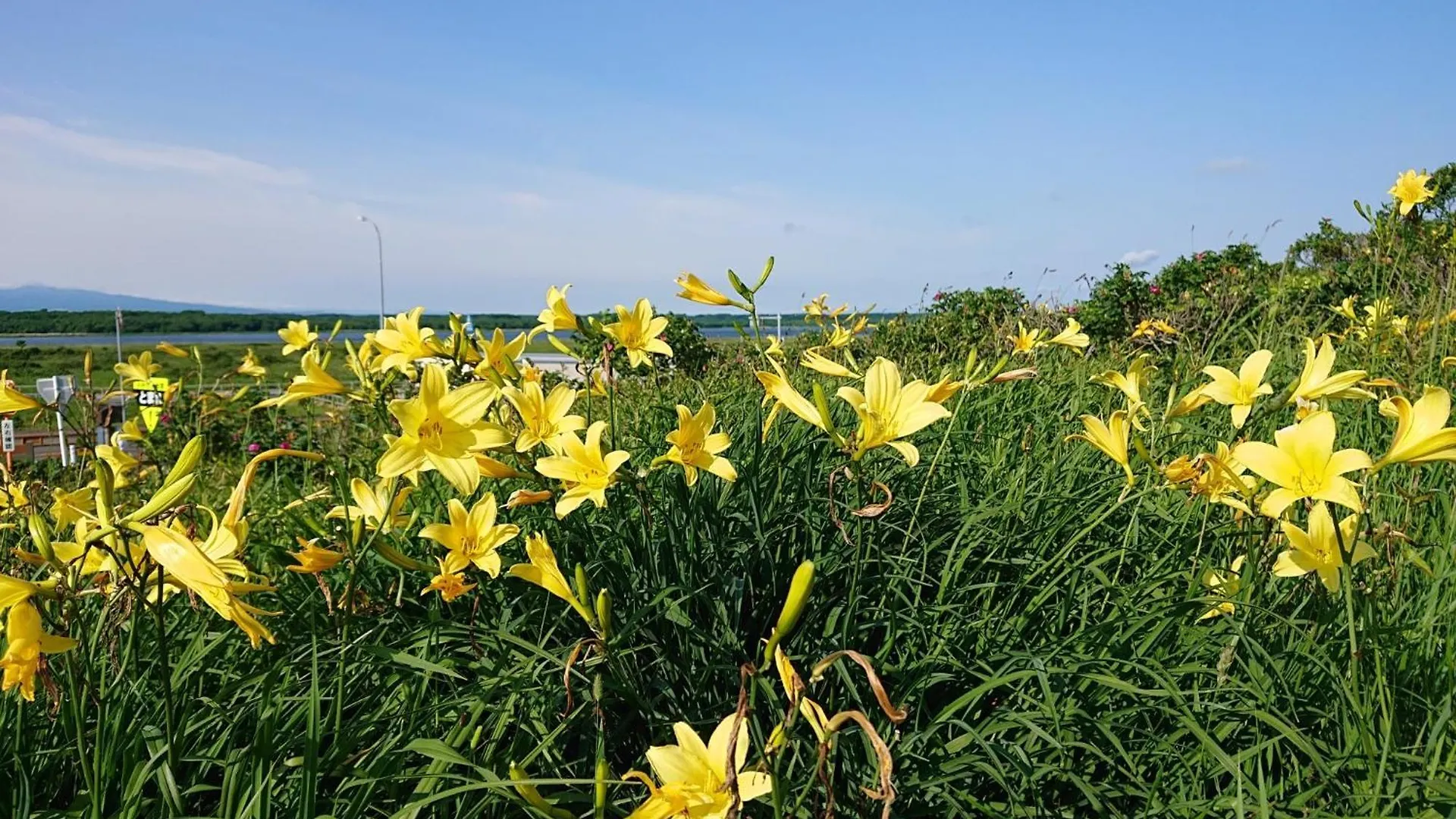 Sea Side Stay / Vacation Stay 1785 網走市 0*,